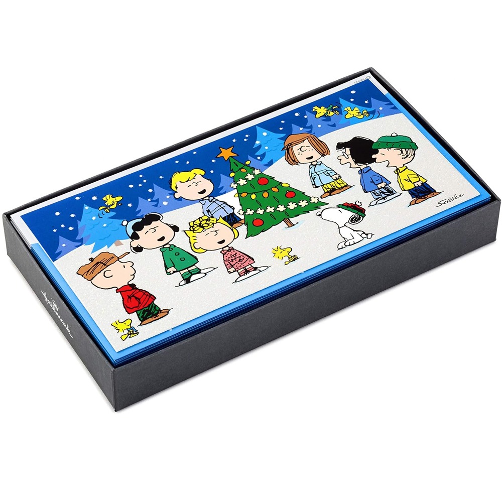 홀마크 피너츠 스누피 크리스마스 카드 세트 박스 패키지 블루 박스