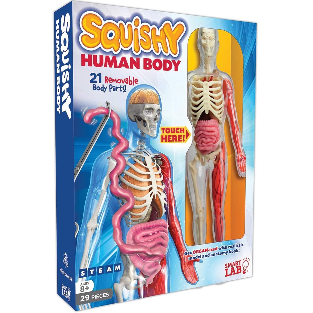 스마트랩 스퀴시 휴먼바디 신체 장기 인체모형