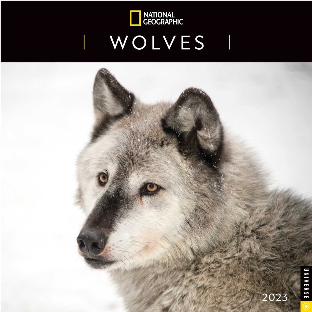 2023 달력 캘린더 이미지 포스터 내셔널 지오그래픽 늑대 사진